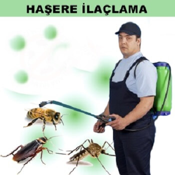 Tefenni Böcek İlaçlama